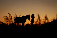21-IMG_0951-439